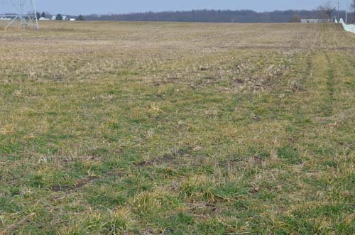 Property photo 76 - 98+/- Acres Offered in 6 Tracts or Combinations, Noble County, Indiana Farm